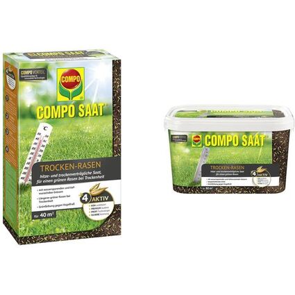 COMPO SAAT Trocken-Rasen, 2 kg fr 80 qm