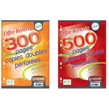 Copies doubles 300P A4 Séyès Perforées