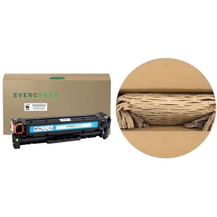 EVERGREEN Toner EGTO44469742E ersetzt OKI 44469742, cyan