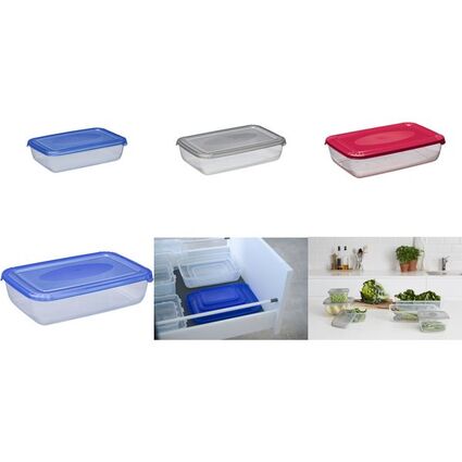 plast team Gefrierdose Polar, 0,90 Liter, grau, rechteckig