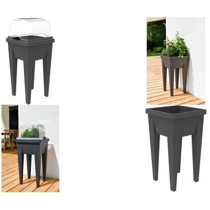 EDA Deckel fr Mini-Hochbeet "VEG&Table", transparent