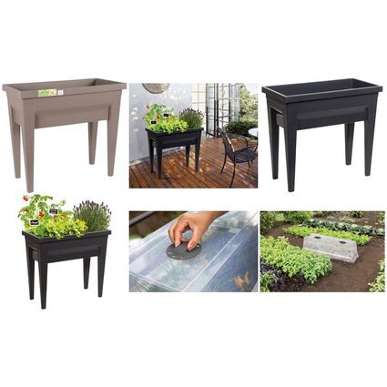 EDA Deckel fr Hochbeet "VEG&Table" City, transparent