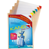 djois by tarifold magnet-tasche KANG easy clic, din A4