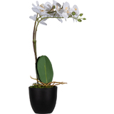 PAPERFLOW kunstpflanze "Orchidee", wei, Hhe: 400 mm
