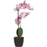 PAPERFLOW kunstpflanze "Orchidee", rose, Hhe: 500 mm
