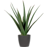 PAPERFLOW kunstpflanze "Aloe Vera", Hhe: 450 mm