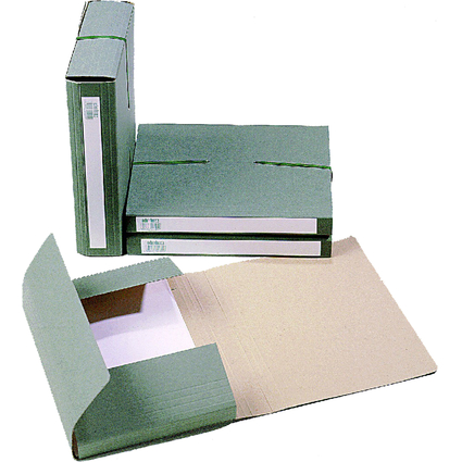extendos Sammelbox 1240, fr DIN A4, aus Karton, grn