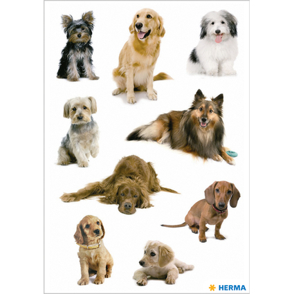 HERMA Sticker DECOR "Hundefotos"