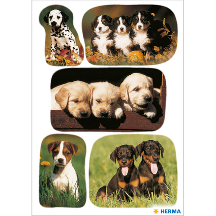 HERMA Sticker DECOR "Hundewelpenfotos"