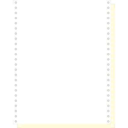 EXACOMPTA Computerpapier endlos, 240 mm x 12" (30,48 cm)
