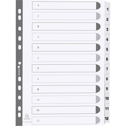 EXACOMPTA Karton-Register 1-12, DIN A4, wei, 12-teilig