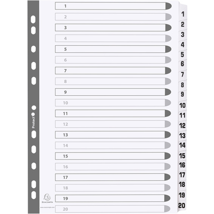 EXACOMPTA Karton-Register 1-20, DIN A4, wei, 20-teilig