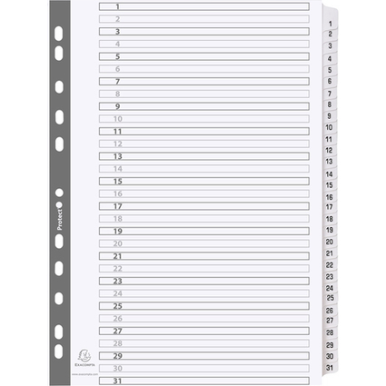 EXACOMPTA Karton-Register 1-31, DIN A4, wei, 31-teilig