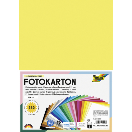 folia Fotokarton, DIN A4, 300 g/qm, sortiert