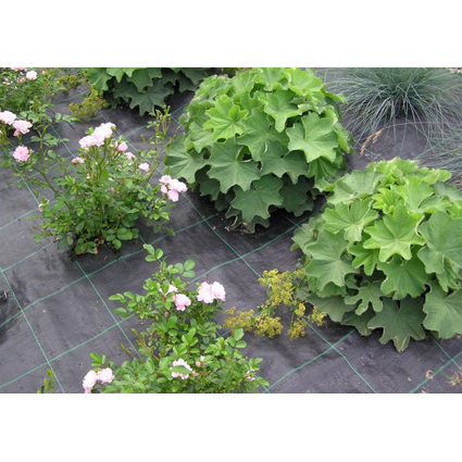 TerCasa Anti-Unkrautgewebe, 2 x 10 m, schwarz
