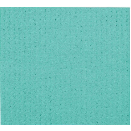 HYGOCLEAN Schwammtuch, 200 x 180 mm, grn, 10er Pack