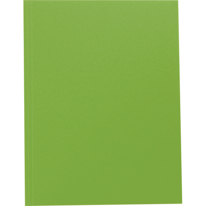 folia Zeichnungsmappe, aus Fotokarton, DIN A4, grn