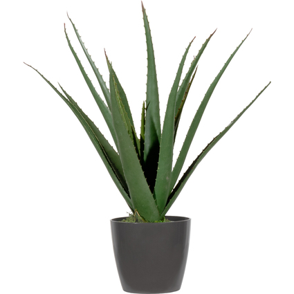 PAPERFLOW Kunstpflanze "Aloe Vera", Hhe: 450 mm