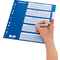 LEITZ Kunststoff-Register, blanko, A4, 10-teilig, farbig