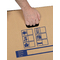 tidyPac Transportbox Bcherbox