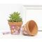 folia Kreidestifte-Set PASTELL, farbig sortiert, 6er Etui