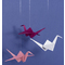 folia Nylonfaden auf Spule, 0,3 mm x 100 m, transparent