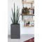 EDA Pflanzsule BASALT UP, Hhe: 495 mm, anthrazit