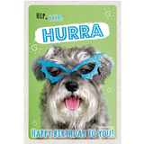 SUSY card Geburtstagskarte - humor "Brillenhund"