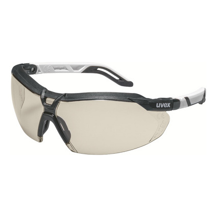 uvex Bgelbrille i-5, Scheibentnung: CBR65