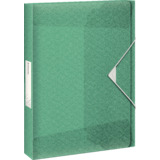 Esselte sammelbox Colour'Ice, din A4, PP, grün, 40 mm
