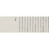 LEITZ Tauenpapier-Register, A-Z, fr 12 Ordner, grau