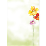 sigel Design-Papier, din A4, 90 g/qm, motiv "Spring Flowers"