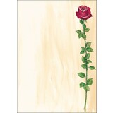 sigel Design-Papier, din A4, 90 g/qm, motiv "Rose Bloom"