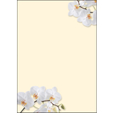 sigel Design-Papier, din A4, 90 g/qm, motiv "White Orchid"