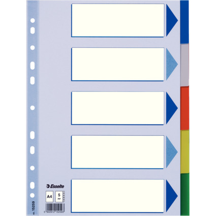 Esselte Kunststoff-Register, blanko, A4, PP, 5-teilig