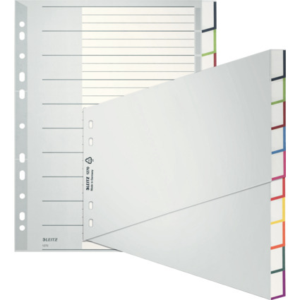 LEITZ Kunststoff-Register, blanko, A4 berbreite, schrg