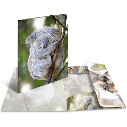 HERMA Eckspannermappe "Koala", PP Glossy, DIN A3