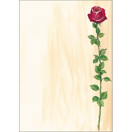 sigel Design-Papier, DIN A4, 90 g/qm, Motiv "Rose Bloom"