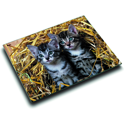 Lufer Schreibunterlage Katzen im Stroh, 400 x 530 mm
