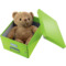 LEITZ Ablagebox Click & Store WOW, DIN A4, grn