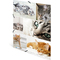 HERMA Eckspannermappe "Katzen", aus Karton, DIN A4
