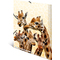 HERMA Eckspannermappe Exotische Tiere, A4, Giraffenfreunde