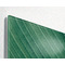 sigel Glas-Magnettafel Artverum Design Palm Leaf, (B)910 mm