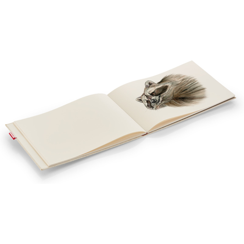 Transotype Skizzenbuch Sensebook Sketchpad Din A4 Quer 75061400 Bei Www Officeb2b De Gunstig Kaufen