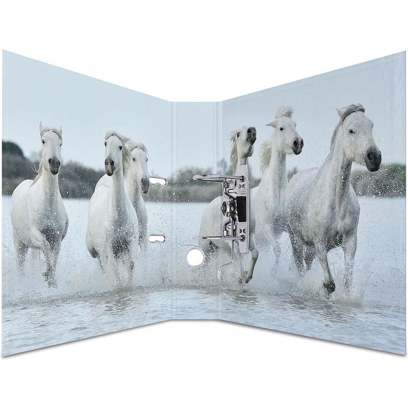 Brunnen Motiv Ordner Free Spirit Din A4 Mit Griffloch 80 Mm