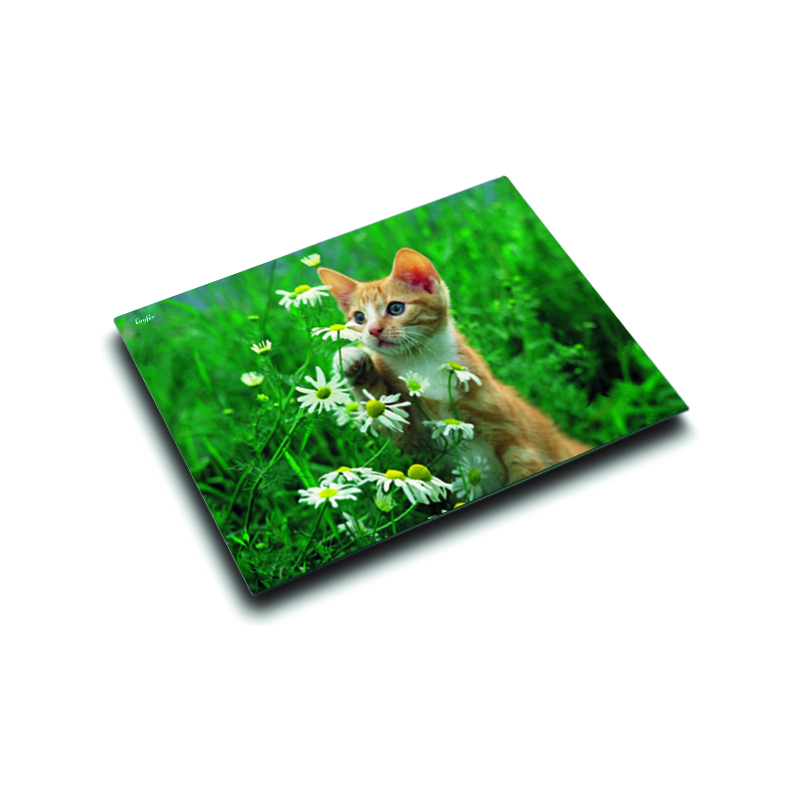 Katzen Teppich Mobel Gebraucht Kaufen Ebay Kleinanzeigen