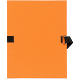 EXACOMPTA Dokumentenmappe, din A4, Karton, orange